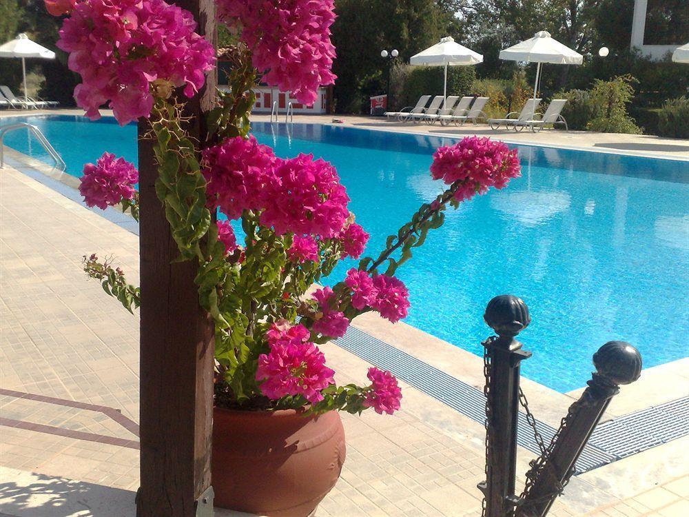 Pasiphae Hotel Skala Kallonis Extérieur photo